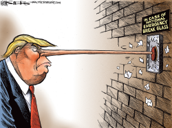 TRUMP'S NATIONAL EMERGENCY by Kevin Siers