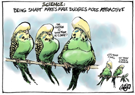 SCIENCE MAGAZINE THIS WEEK by Jos Collignon