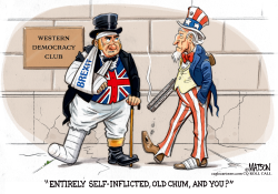 WESTERN DEMOCRACY SELF INFLICTED WOUNDS by R.J. Matson