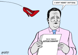CAMERON DOESN'T REGRET by Rainer Hachfeld