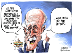 RUDY'S COLLUSION ILLUSION by Dave Whamond
