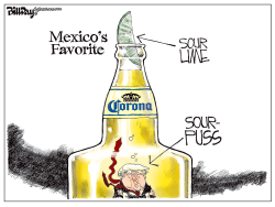 MEXICO'S FAVORITE by Bill Day
