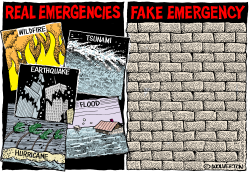 FAKE EMERGENCY WALL by Monte Wolverton