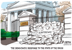 DEMOCRATIC RESPONSE TO THE STATE OF THE UNION by RJ Matson