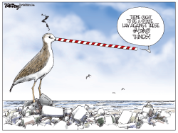 PLASTIC STRAWS ARE FOR THE BIRDS by Bill Day