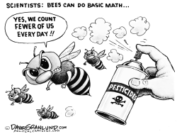 Bees can do basic math by Dave Granlund