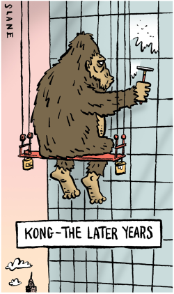 KING KONG - THE LATER YEARS by Chris Slane