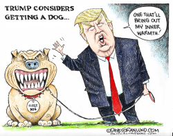 TRUMP CONSIDERS A DOG by Dave Granlund