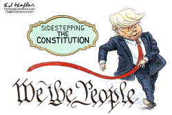 SIDESTEPPING THE CONSTITUTION by Ed Wexler