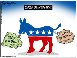 2020 DEMOCRAT PLATFORM by Bob Englehart