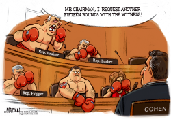 REPUBLICANS COME OUT FIGHTING AT MICHAEL COHEN HEARING by R.J. Matson
