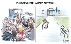 EUROPEAN PARLIAMENT ELECTION by Gatis Sluka