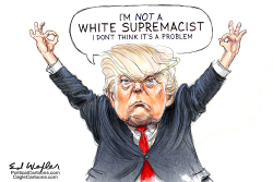 NOT A WHITE SUPREMACIST by Ed Wexler