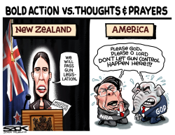 NEW ZEALAND LEADERSHIP by Steve Sack