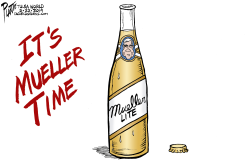 THE MUELLER REPORT by Bruce Plante