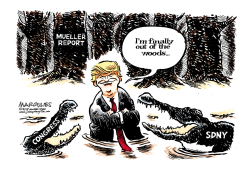 Mueller Report by Jimmy Margulies