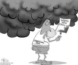 Burning Green New Deal by Gary McCoy