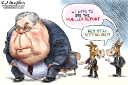 BARR SITTING ON REPORT by Ed Wexler