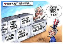 MCCONNELL AND HIS BLOCKS by Dave Whamond