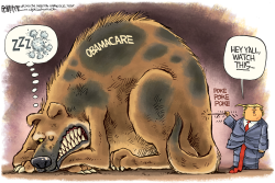 TRUMP POKES OBAMACARE by Rick McKee