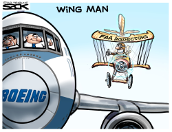 FAA WINGMAN by Steve Sack