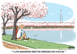 SUBPOENAS ARE IN BLOOM IN WASHINGTON by R.J. Matson