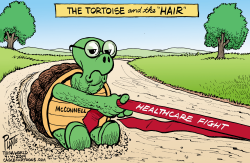 THE TORTOISE AND THE… by Bruce Plante