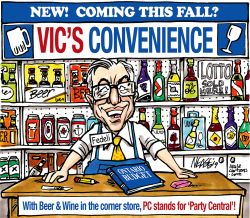 VICS CONVENIENCE by Steve Nease