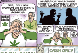 CANNABIS AND BANKING by Steve Greenberg