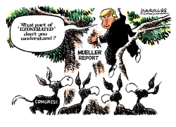 MUELLER REPORT AND CONGRESS by Jimmy Margulies