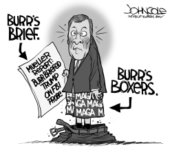 LOCAL NC Burr and Mueller Report by John Cole
