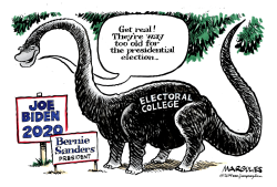 ELECTORAL COLLEGE by Jimmy Margulies