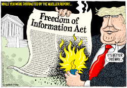 TRASHING THE FREEDOM OF INFORMATION ACT by Wolverton