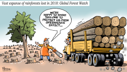 LOSS OF RAINFORESTS by Paresh Nath