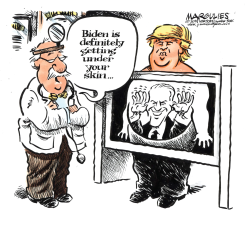 TRUMP AND BIDEN by Jimmy Margulies
