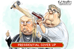 PRESIDENTIAL COVER UP by Ed Wexler