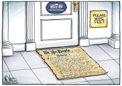 CONSTITUTIONAL DOORMAT by Christopher Weyant