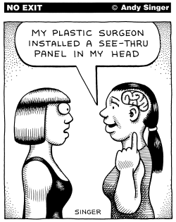 SEE THRU HEAD PLASTIC SURGERY by Andy Singer