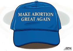 ABORTION MAGA by R.J. Matson