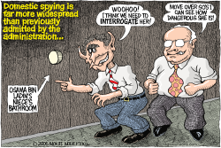 DOMESTIC SPYING  by Wolverton