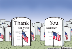 MEMORIAL DAY THANK YOU by Steve Greenberg
