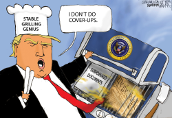 GENIUS TRUMP COVERUPS HIS COVERUPS by Jeff Darcy
