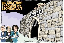 THROUGH THE STONEWALL by Wolverton