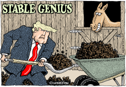 STABLE GENIUS by Monte Wolverton