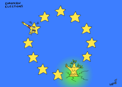 EUROPEAN ELECTIONS by Stephane Peray