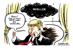 MUELLER AND TRUMP by Jimmy Margulies