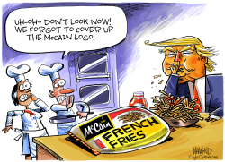 MCCAIN COVER UP by Dave Whamond