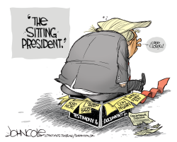 THE SITTING PRESIDENT by John Cole