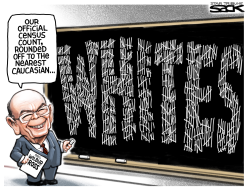 WHITE COUNT= by Steve Sack