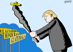 THE TRUMP MEXICO DEAL by Rainer Hachfeld